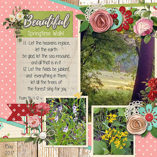 Beautiful Walk in Nature