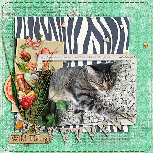 Beautiful wild thing
