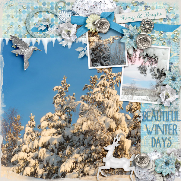 Beautiful-winter-days