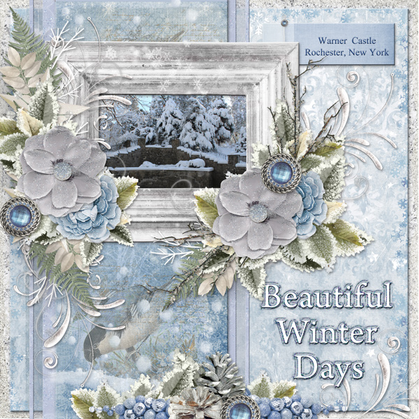 Beautiful Winter Days