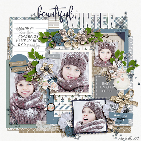 beautiful winter