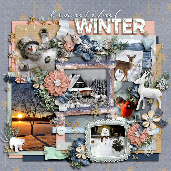 Beautiful Winter