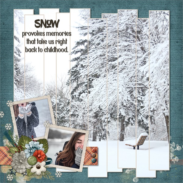 Beautiful Winter