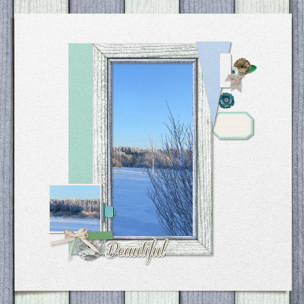 Beautiful winter