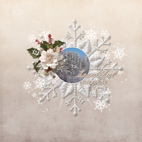 Beautiful winter