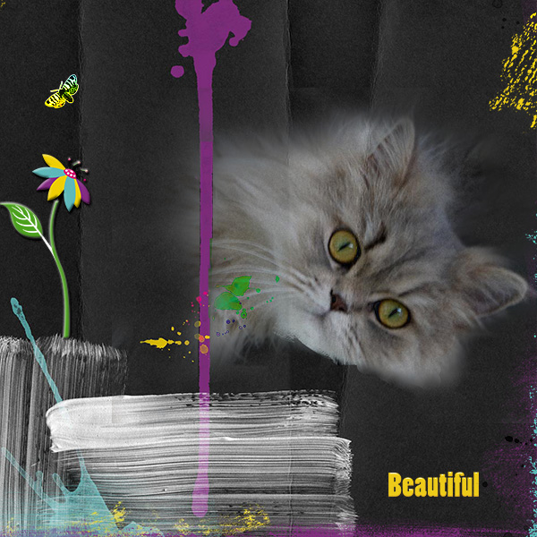 Beautiful