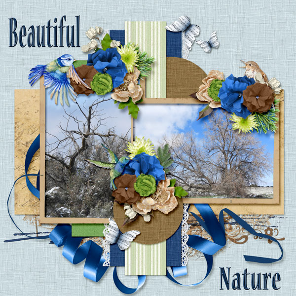 beautiful_nature_small