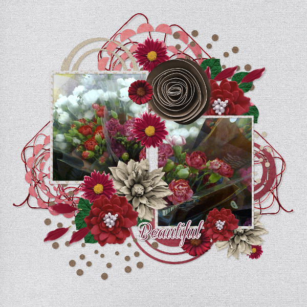 beautiful_spring_flowers