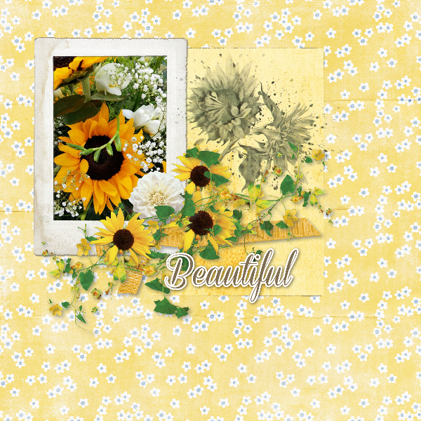 Beautiful_sunflowers