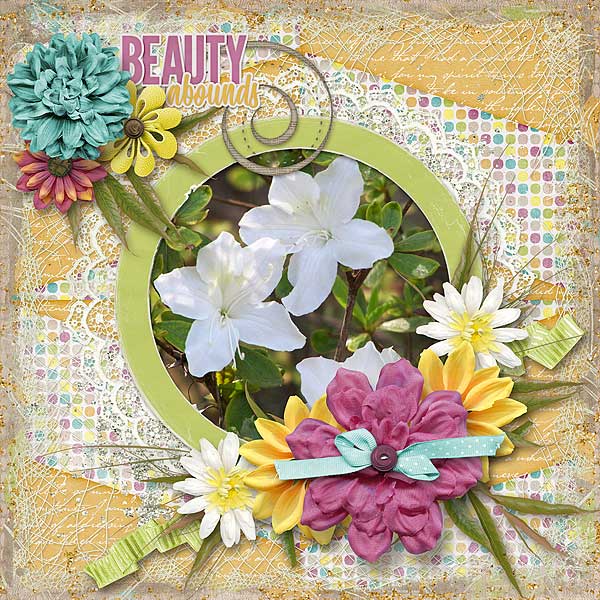Beauty Abounds