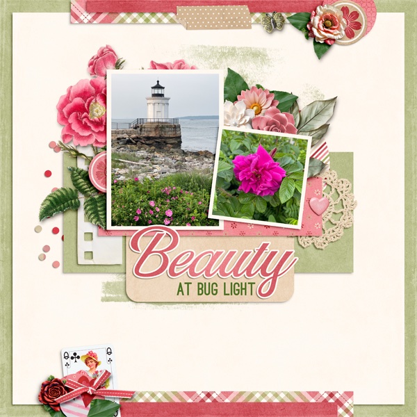 Beauty at Bug Light