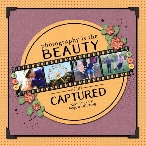 Beauty Captured