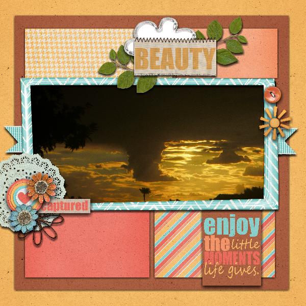 Beauty Captured