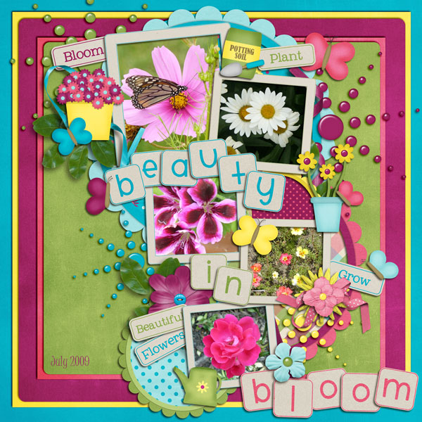 Beauty in Bloom