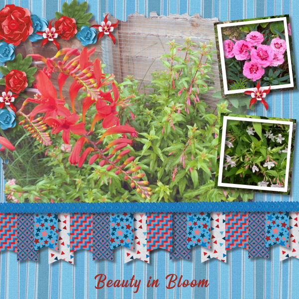 Beauty in Bloom
