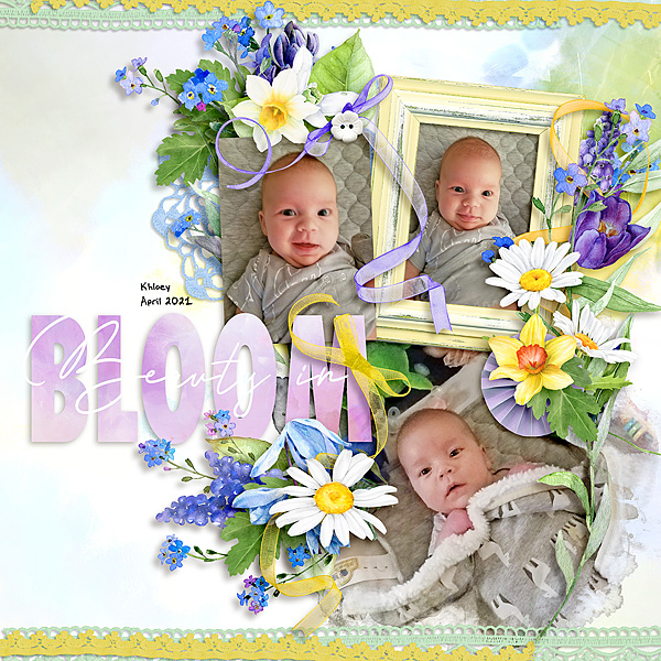 Beauty in Bloom