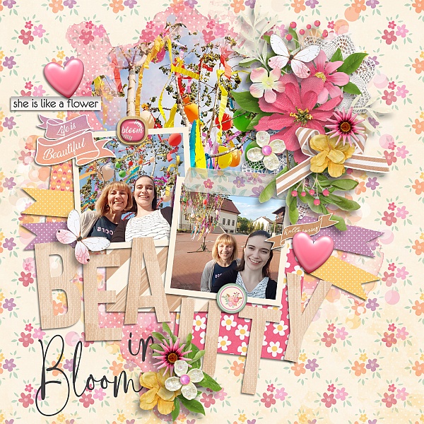 Beauty in bloom