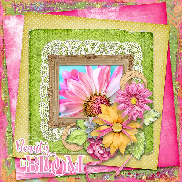 Beauty In Bloom
