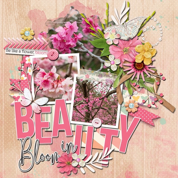 beauty in bloom