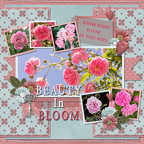 Beauty In Bloom