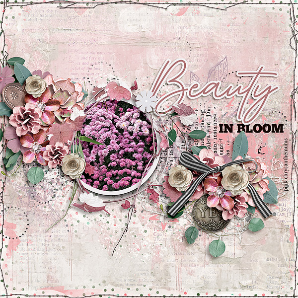 Beauty in Bloom
