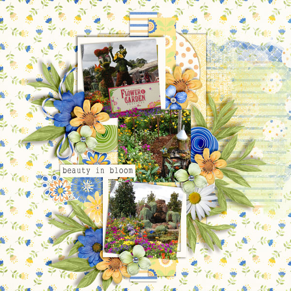 Beauty-In-Bloom3