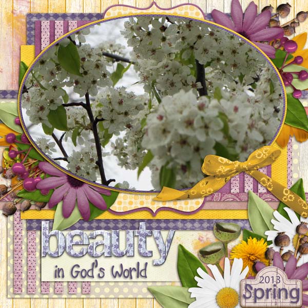 Beauty in God's World