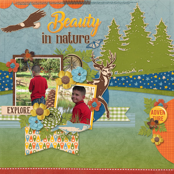 Beauty In Nature