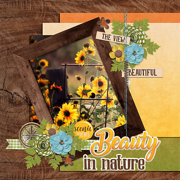 Beauty In Nature