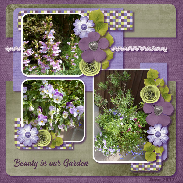 Beauty in our Garden