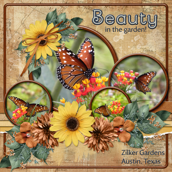 Beauty in the garden!