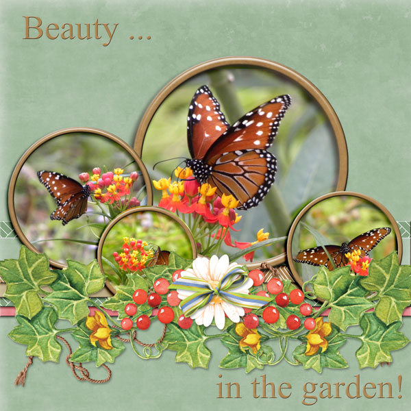 Beauty in the garden!