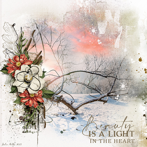 beauty is a light