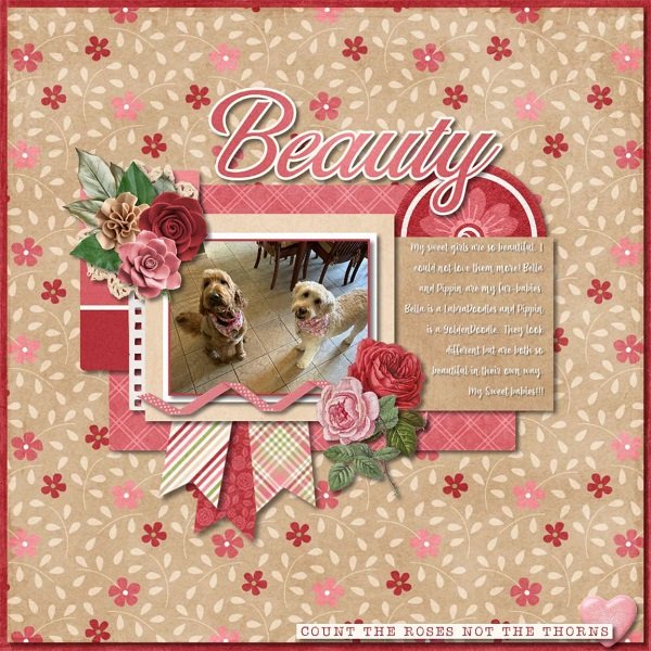 Beauty.jpg