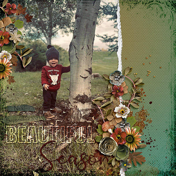 Beauty of Autumn
