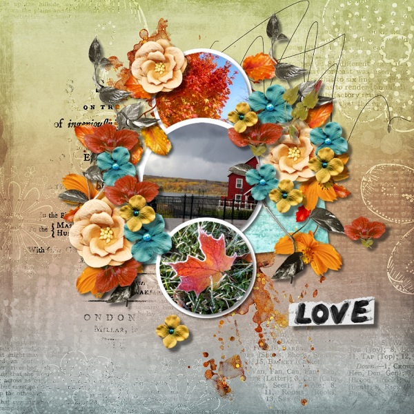 Beauty of Autumn