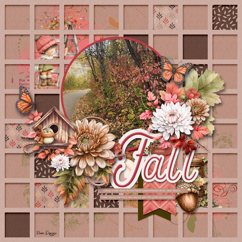 Beauty of Autumn
