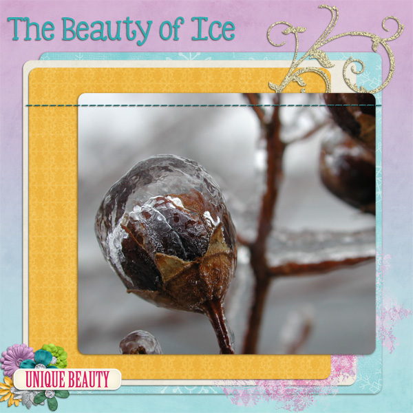 Beauty of Ice
