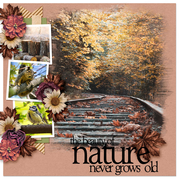 Beauty of Nature