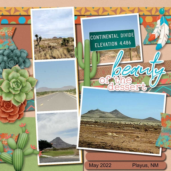 Beauty of the Desert
