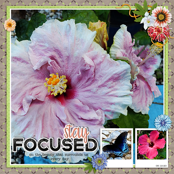 Beauty Surrounds Us