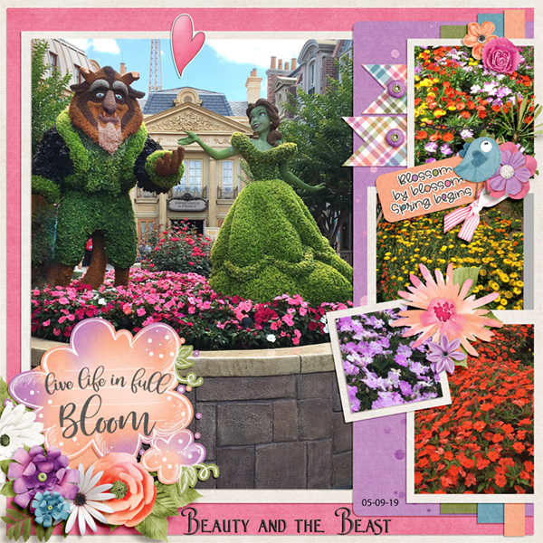 Beauty + the Beast