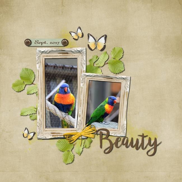 Beauty