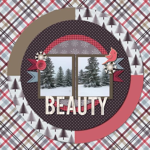 Beauty2