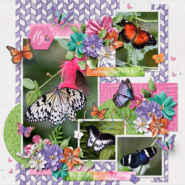 Beautyflies