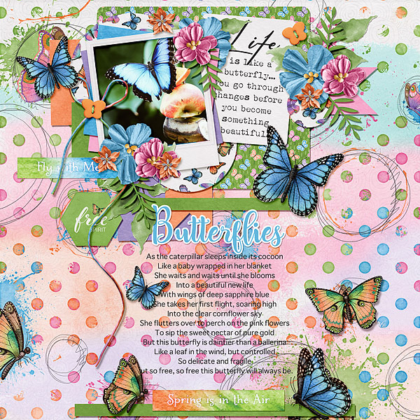 Beautyflies