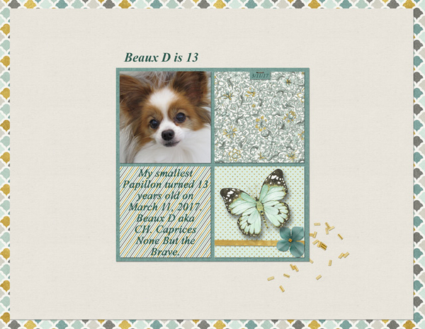 Beaux D is 13