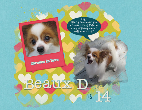Beaux D is 14