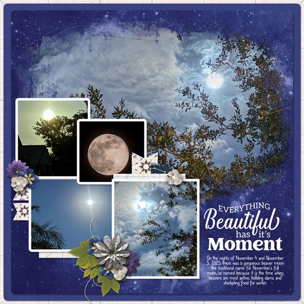 Beaver Moon