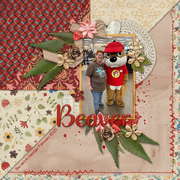 Beaver